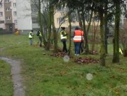 sprzątanie parkingów oraz skwerów w rejonie ulicy 5-go Marca, Kowalskiej,Warszawskiej przez pracowników Urzędu Miejskiego i OPS Nowogard